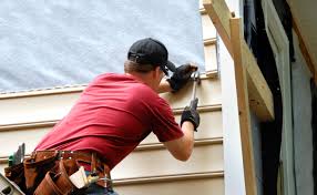 Best Custom Trim and Detailing for Siding  in Aldine, TX